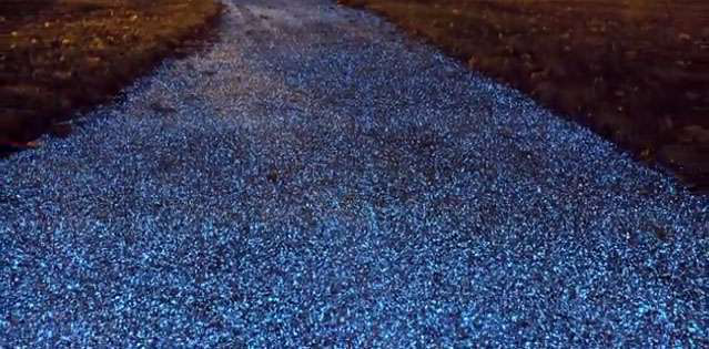 glowingpavement