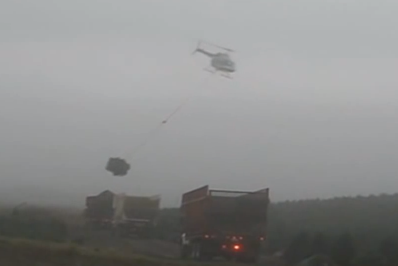 Christmas tree chopper