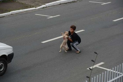 11-year-old Jean Fernandes of Brazil saves a dog that was injured in the road. (Photo: Rafaela Martins via Dog Heirs)