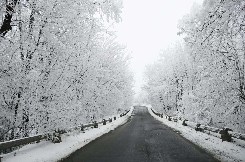 shutterstock_120519856