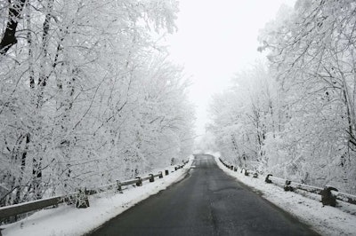 shutterstock_120519856