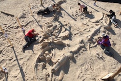 chile whale graveyard 3