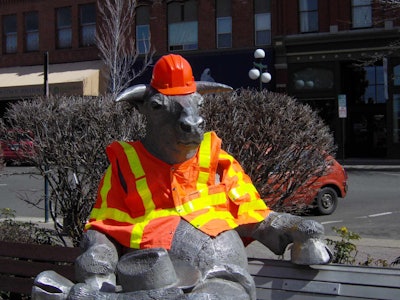 “The Bull” in Ellensburg, Washington sports an orange vest and hardhat during National Work Zone Awareness Week. (Photo courtesy of Kittitas County Public Works)