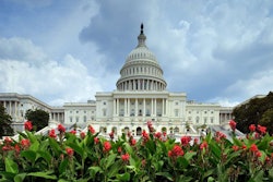 Capitol_flowers