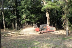 Fecon FTX128L mulching tractor