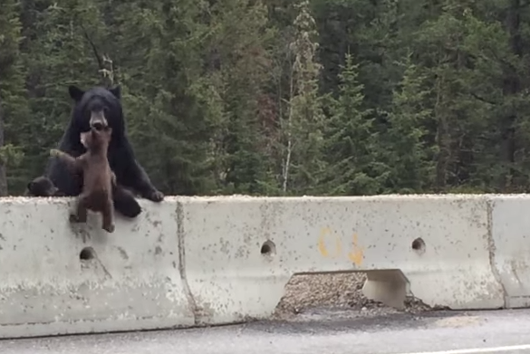 Screen Shot 2014-05-22 at 2.25.05 PM