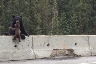 Screen Shot 2014-05-22 at 2.25.05 PM