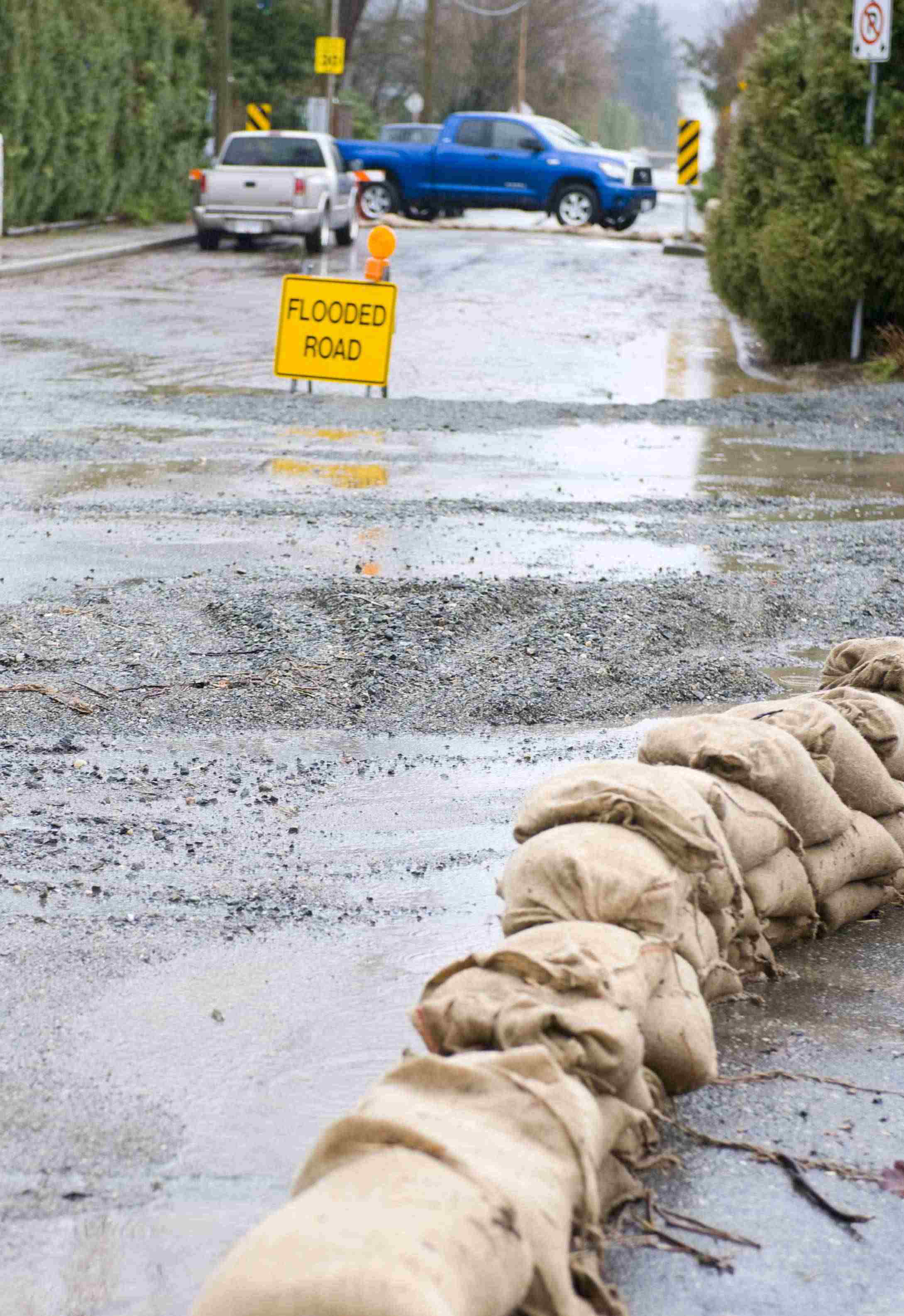 I Stock 000008294260 Large