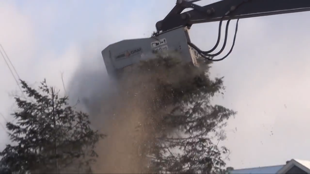 DENIS CMAF excavator forestry mulcher