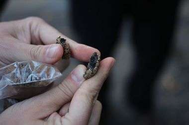 A piece of a rubberized asphalt pellet. Photo: Staten Island Advance/Vincent Barone