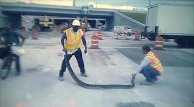 Miami construction workers wrangle 11-foot python