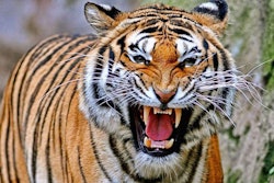 Just in case you ever encounter something like this on the job, don’t stick your hand near it.