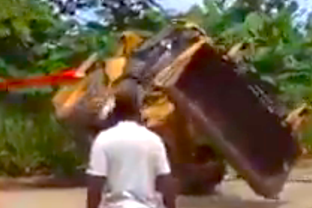 Backhoe swallowed by jungle