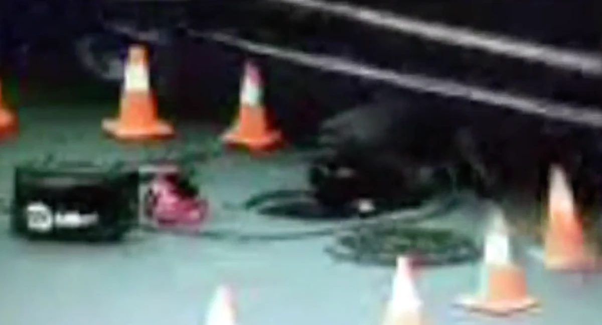 Construction worker survives being run over by truck in Oregon parking ...