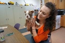 Kali Grubaugh with Crash, one of the four dogs in the Bradley Excavating office.