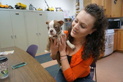 Kali Grubaugh with Crash, one of the four dogs in the Bradley Excavating office.