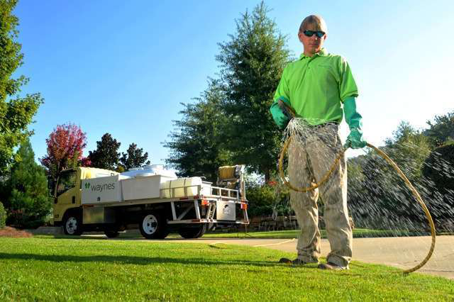 guy-spraying-lawn