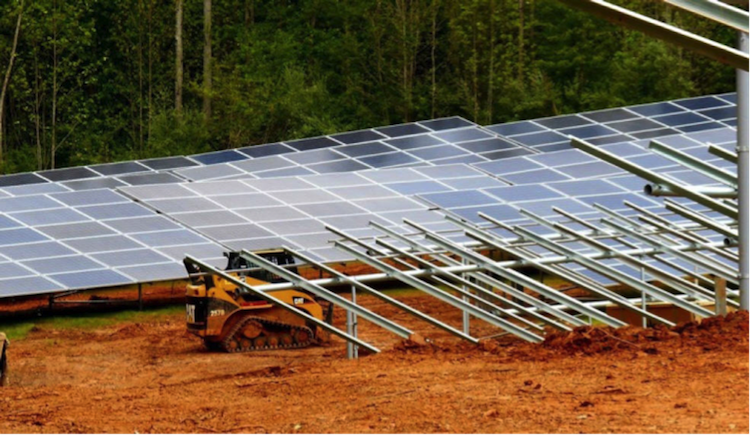 Cat solar farm1