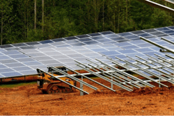 Cat solar farm1