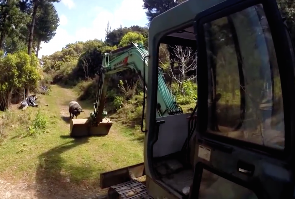 Excavator vs Ram fight