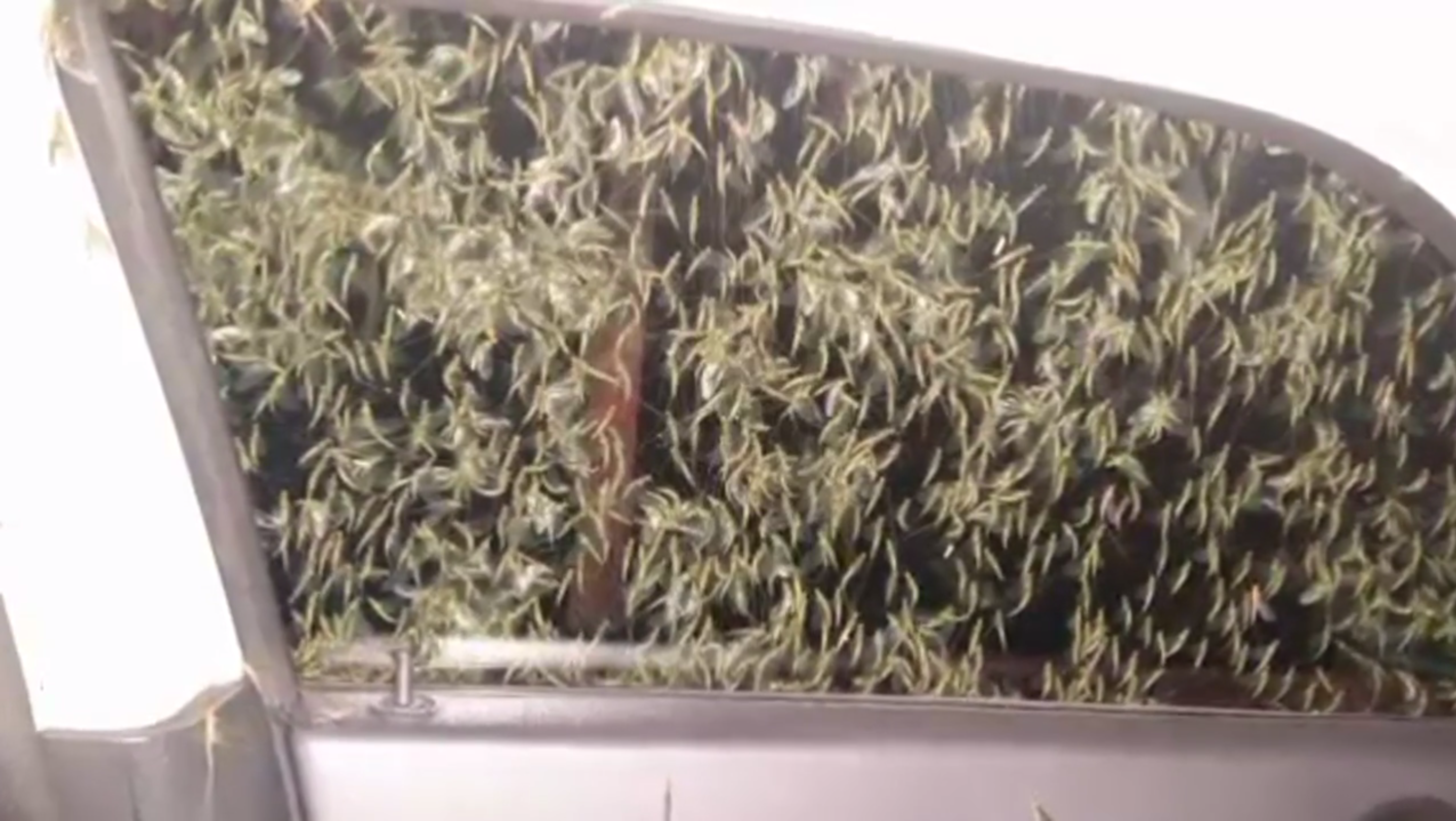 Screen Shot 2015-07-24 at 2.26.23 PM