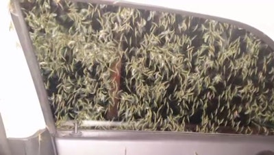 Screen Shot 2015-07-24 at 2.26.23 PM