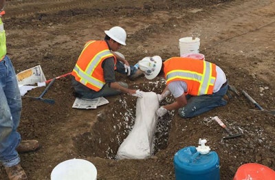 A plaster mold is applied to one of the mammoth bones found at the site. Photo Credit: Cornerstone Communities