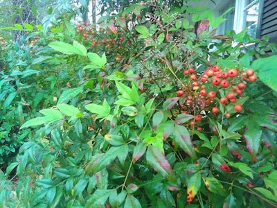 Img 20151027 153130