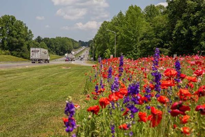NCDOT-wildflowers