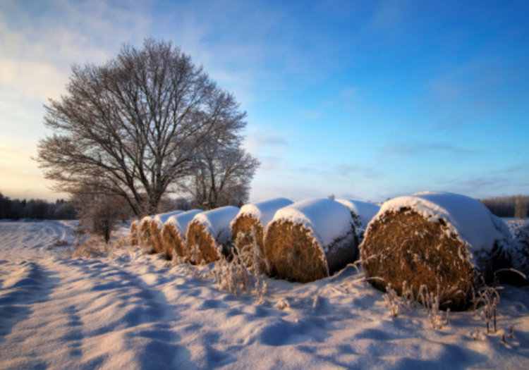 snow bales