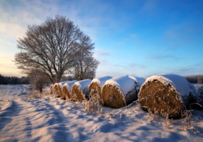 snow bales
