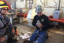 DNR wildlife technicians Caleb Eckloff (left) and Brad Johnson band Peregrine falcon chicks at the Portage Lake Lift Bridge on June 17, 2016. (Photo courtesy of MDOT)