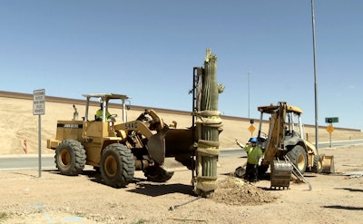 loop-101-replanting-1