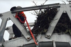 screen-shot-2016-11-17-at-11-34-59-am