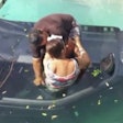 Bystander Gabriel Mejia rescued a woman who was trapped under water in an F-150 Raptor. (Screen shot from fox5sandiego.com video posted below).