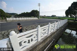 Chinese 3D printed railings