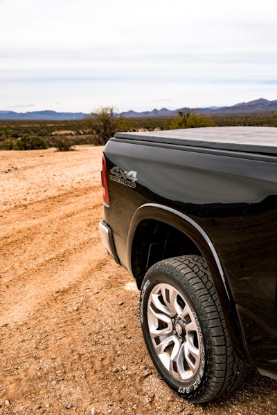 Photo: Wayne Grayson