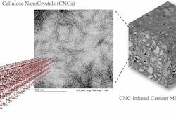 cellulose nanocrystals