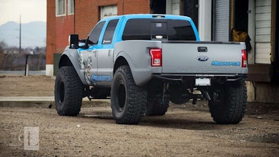 Cl Photography Mega Raptor1 260w 1024x1024