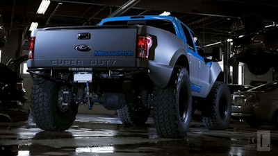 Cl Photography Mega Raptor1 35w 1024x1024