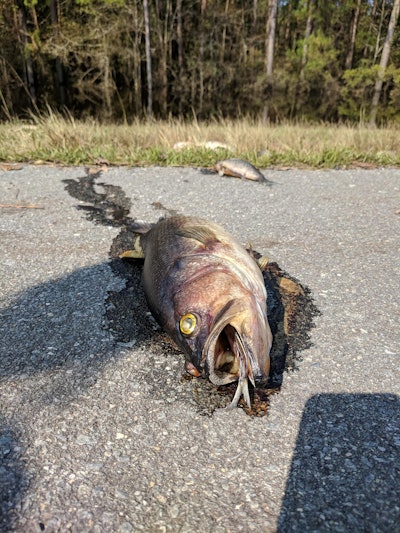 Photo: Penderlea Fire Department