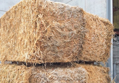A bale of hemp awaits processing. Photo courtesy Canadian Greenfield Technologies.