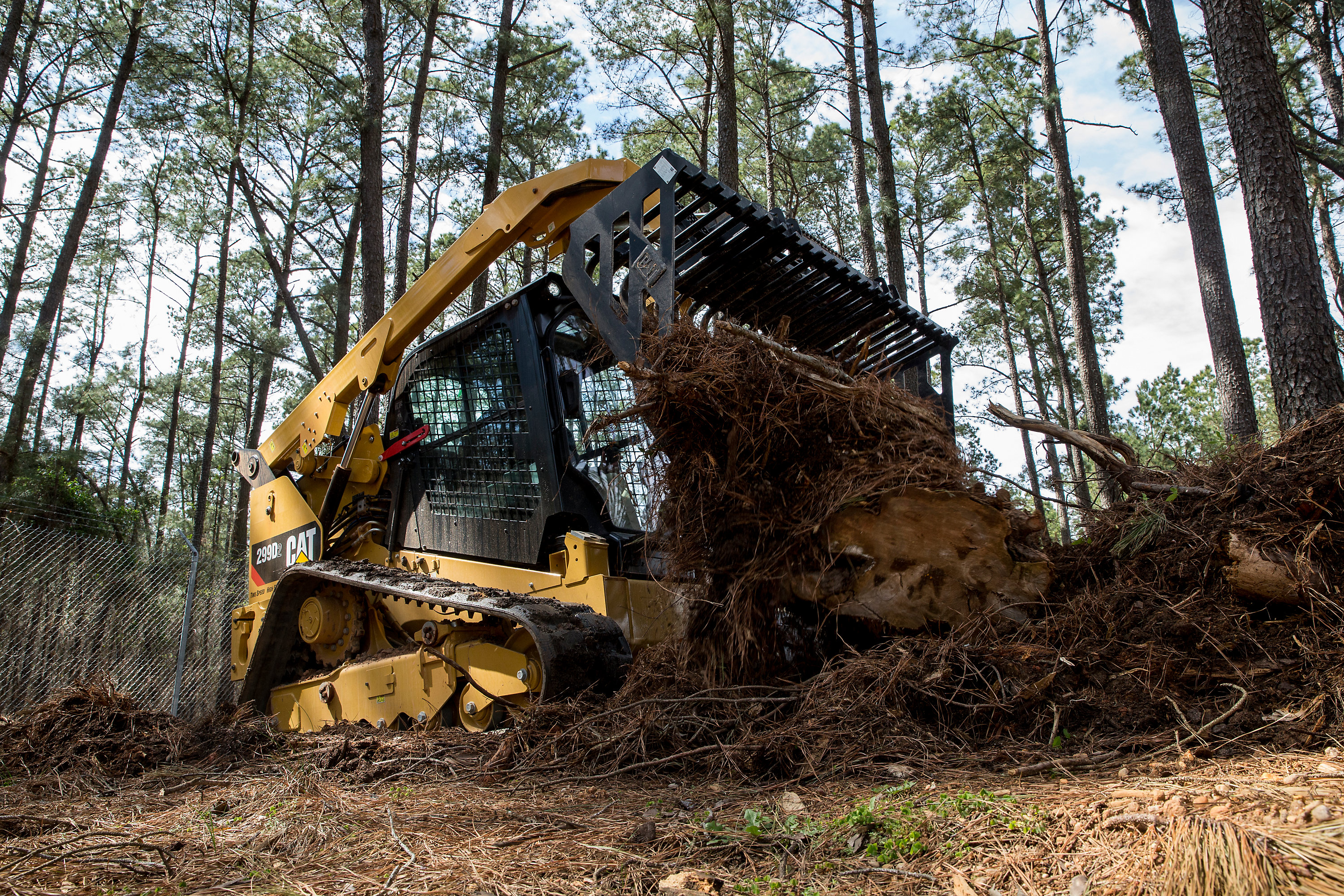 Caterpillar Skeleton bucket roots