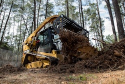 Caterpillar Skeleton bucket roots
