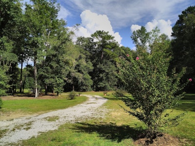 Gravel driveway surrounded by grass and trees