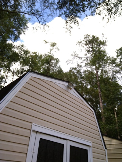Part of a shed surrounded by trees