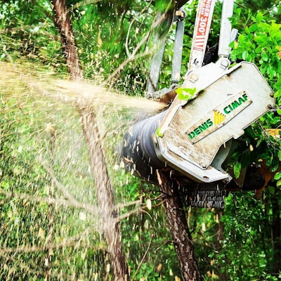 A Denis CIMAF mulcher head in action.