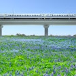 TC_BulletTrain_Viaduct_50yards_bluebonnets