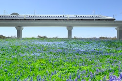 TC_BulletTrain_Viaduct_50yards_bluebonnets