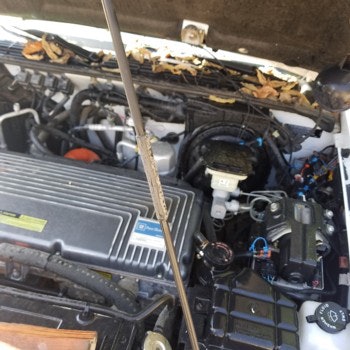 A lead acid battery once powered this original electric S10